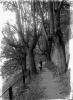 Jan Voseček s malým Josefem Šechtlem v Holečkových sadech (in Czech), keywords: Šechtl, Voseček, Tábor, Holeček's park